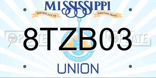 8TZB03 Mississippi License Plate