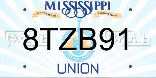 8TZB91 Mississippi License Plate