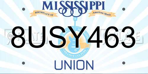 8USY463 Mississippi License Plate
