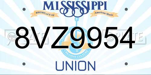 8VZ9954 Mississippi License Plate