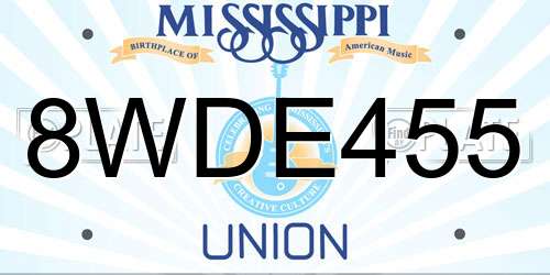 8WDE455 Mississippi License Plate