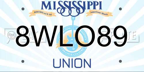 8WLO89 Mississippi License Plate