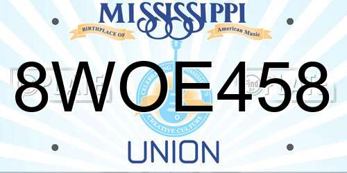 8WOE458 Mississippi License Plate