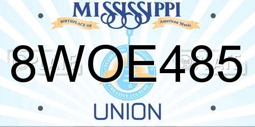 8WOE485 Mississippi License Plate