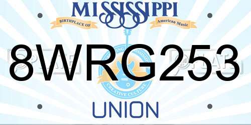 8WRG253 Mississippi License Plate