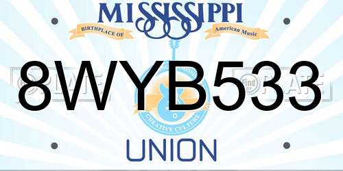 8WYB533 Mississippi License Plate