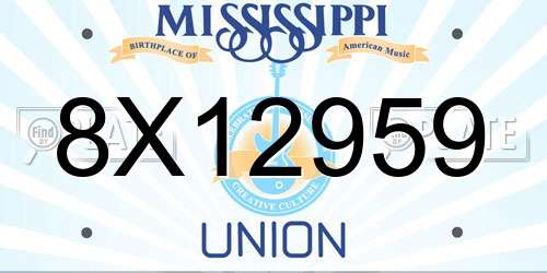 8X12959 Mississippi License Plate