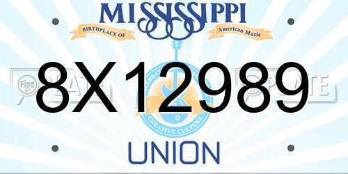 8X12989 Mississippi License Plate