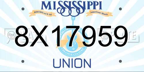 8X17959 Mississippi License Plate