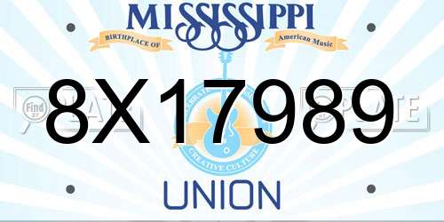 8X17989 Mississippi License Plate
