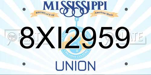 8XI2959 Mississippi License Plate