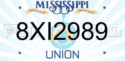 8XI2989 Mississippi License Plate