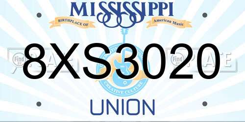 8XS3020 Mississippi License Plate