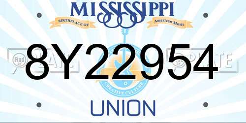 8Y22954 Mississippi License Plate