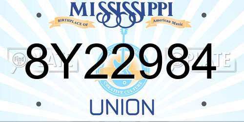 8Y22984 Mississippi License Plate