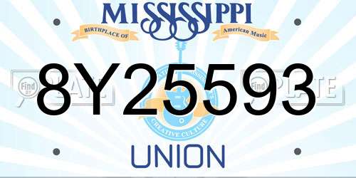 8Y25593 Mississippi License Plate
