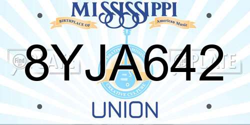 8YJA642 Mississippi License Plate