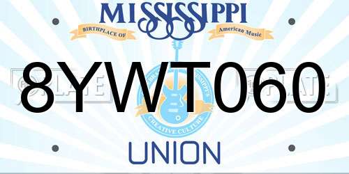 8YWT060 Mississippi License Plate