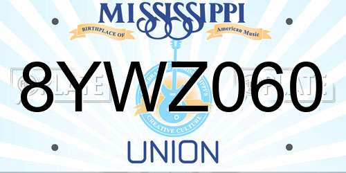 8YWZ060 Mississippi License Plate