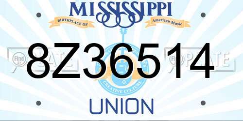 8Z36514 Mississippi License Plate