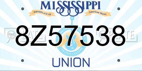 8Z57538 Mississippi License Plate
