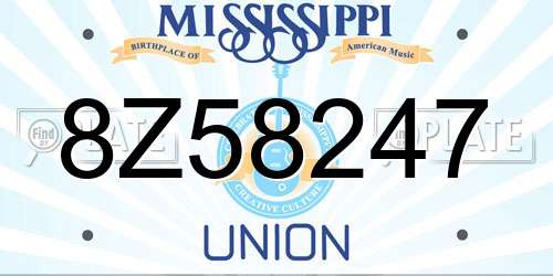 8Z58247 Mississippi License Plate