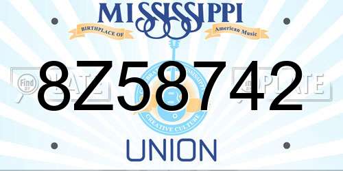 8Z58742 Mississippi License Plate