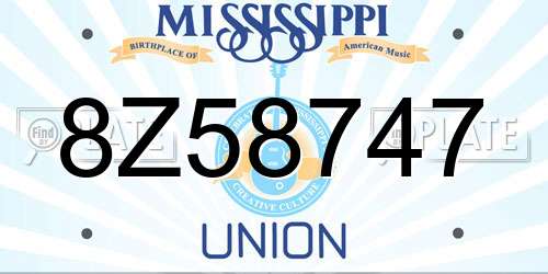 8Z58747 Mississippi License Plate