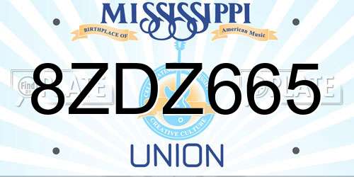 8ZDZ665 Mississippi License Plate