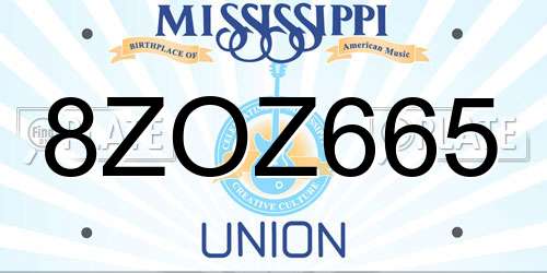 8ZOZ665 Mississippi License Plate