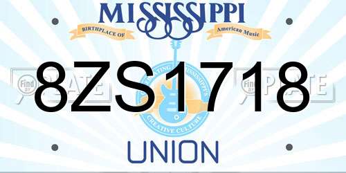 8ZS1718 Mississippi License Plate