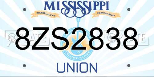 8ZS2838 Mississippi License Plate