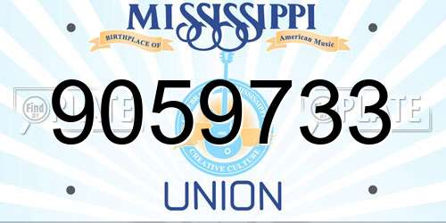 9059733 Mississippi License Plate