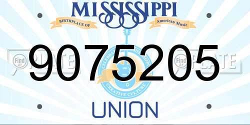 9075205 Mississippi License Plate