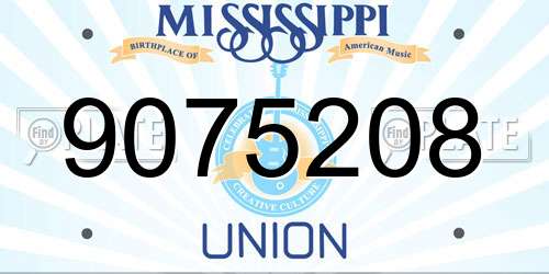 9075208 Mississippi License Plate
