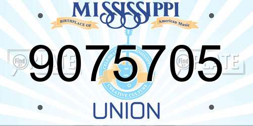 9075705 Mississippi License Plate
