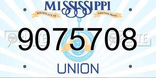 9075708 Mississippi License Plate
