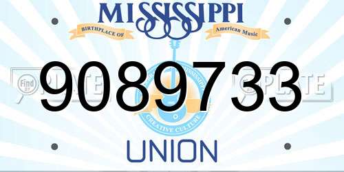 9089733 Mississippi License Plate