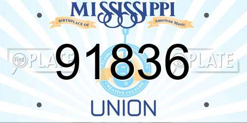 91836 Mississippi License Plate