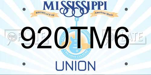920TM6 Mississippi License Plate