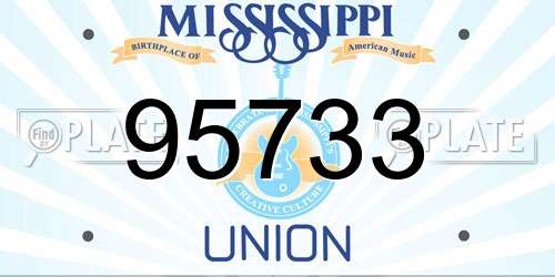 95733 Mississippi License Plate