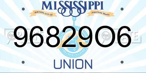 96829O6 Mississippi License Plate