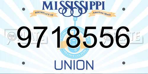 9718556 Mississippi License Plate