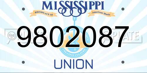 9802087 Mississippi License Plate