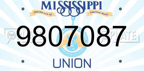 9807087 Mississippi License Plate