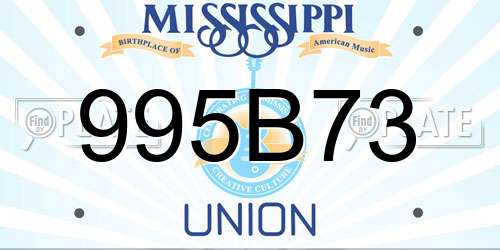 995B73 Mississippi License Plate