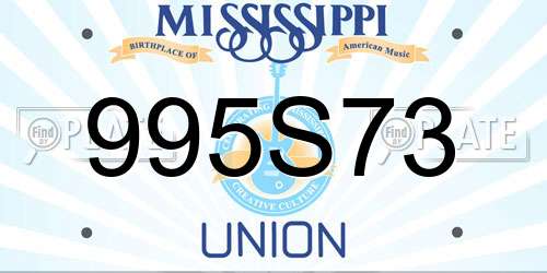 995S73 Mississippi License Plate