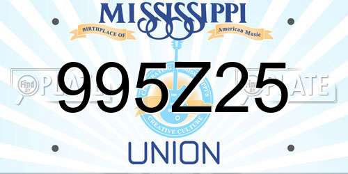 995Z25 Mississippi License Plate