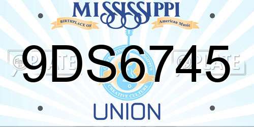 9DS6745 Mississippi License Plate
