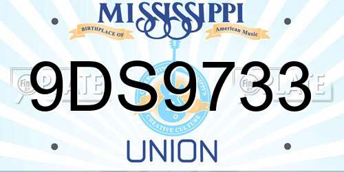 9DS9733 Mississippi License Plate